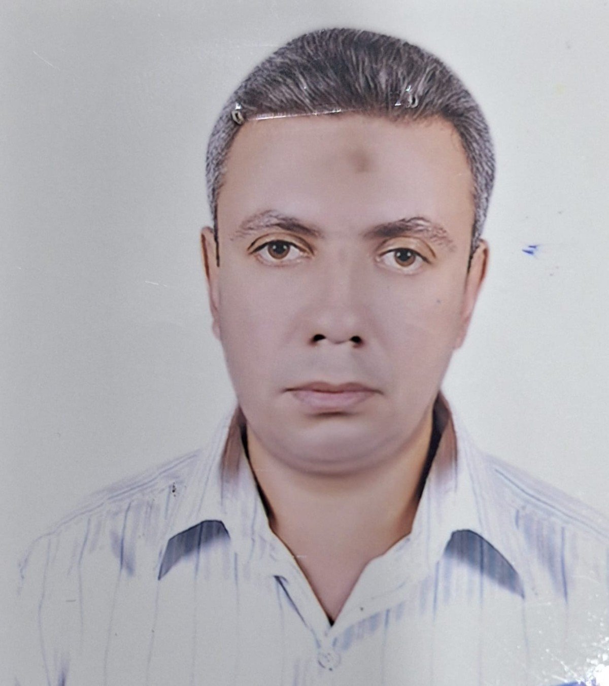 د. محمد حسني شلتوت